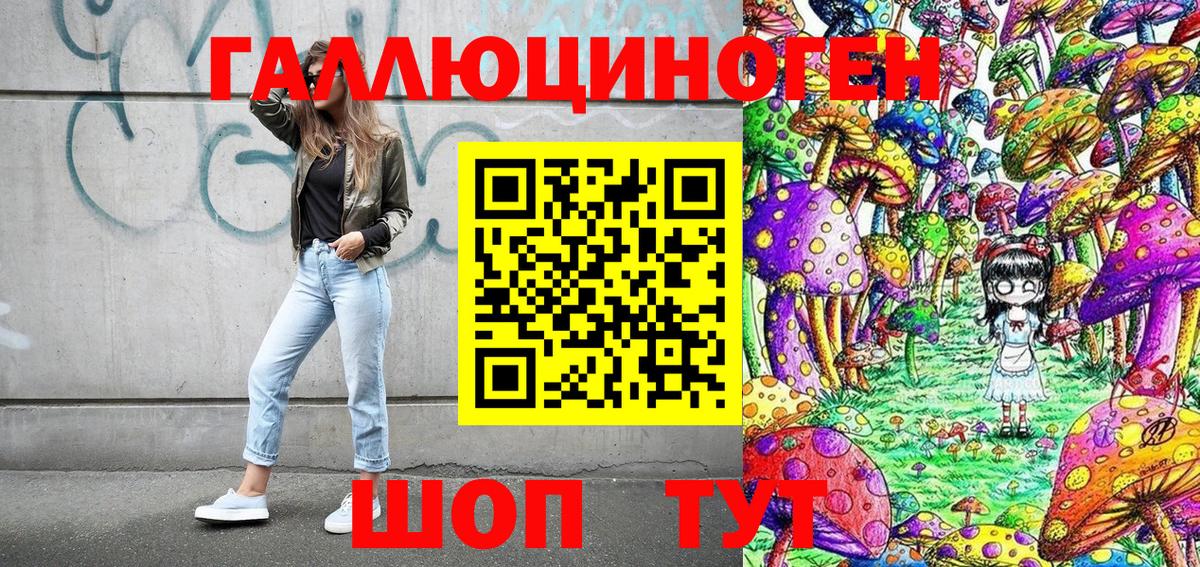 Галлюциногенные грибы Psilocybe  Вход с VPN  Апшеронск 