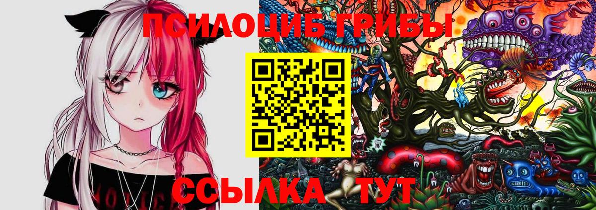 Псилоцибиновые грибы Cubensis Апшеронск